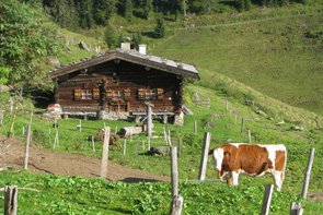 Almen in Maria Alm