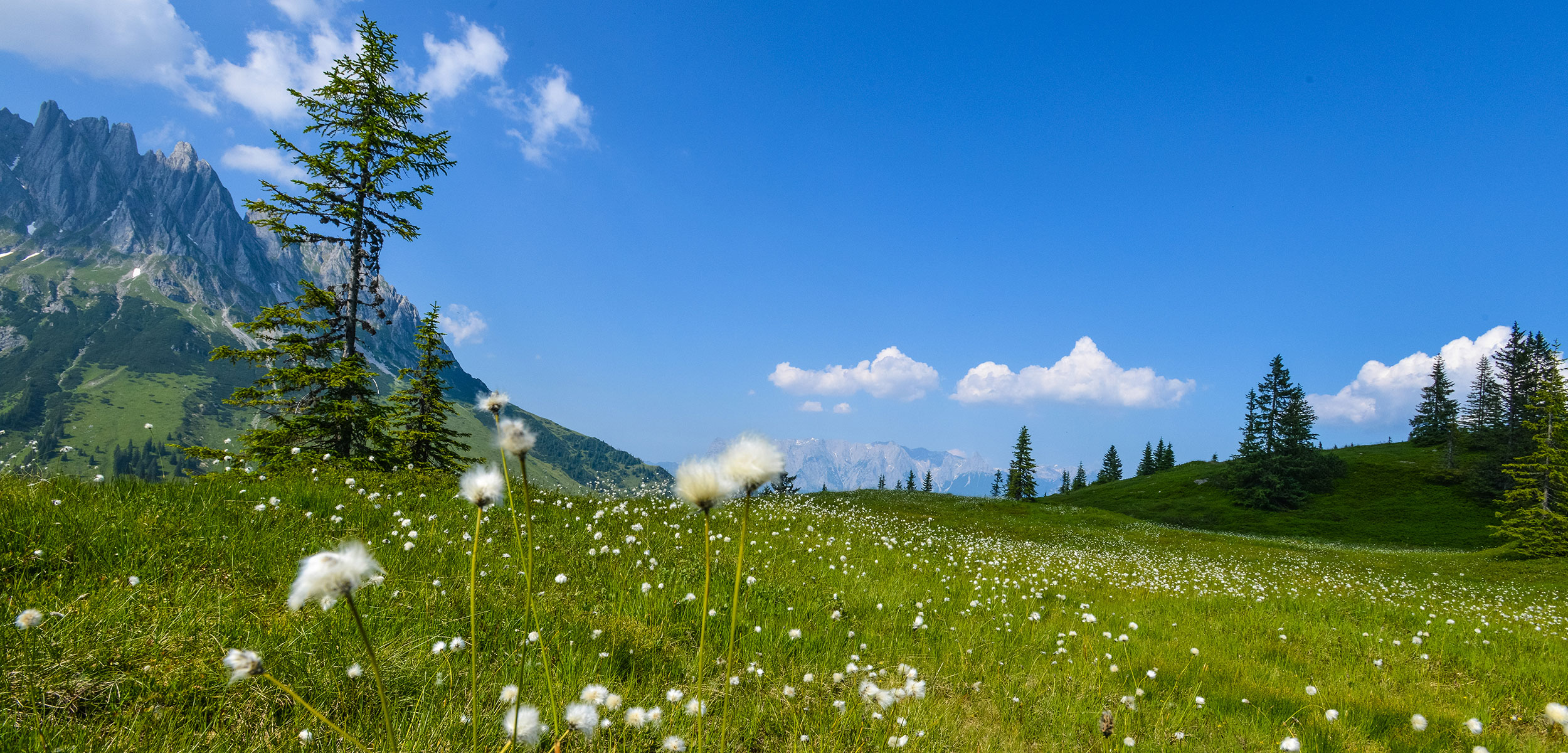 Sommer in Maria Alm