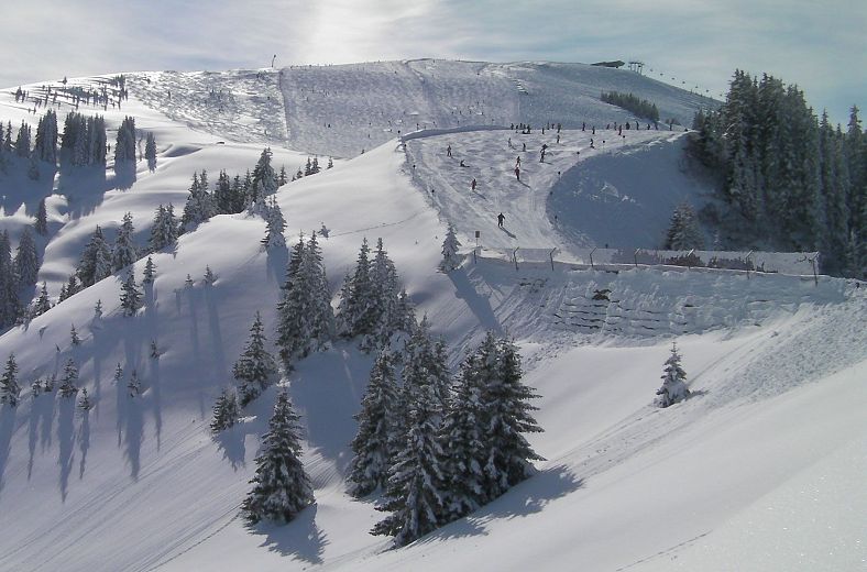 Verschneite Skipiste mit Skifahrern, umgeben von Bäumen und Bergen unter blauem Himmel. Lange Schatten durch Sonnenlicht.